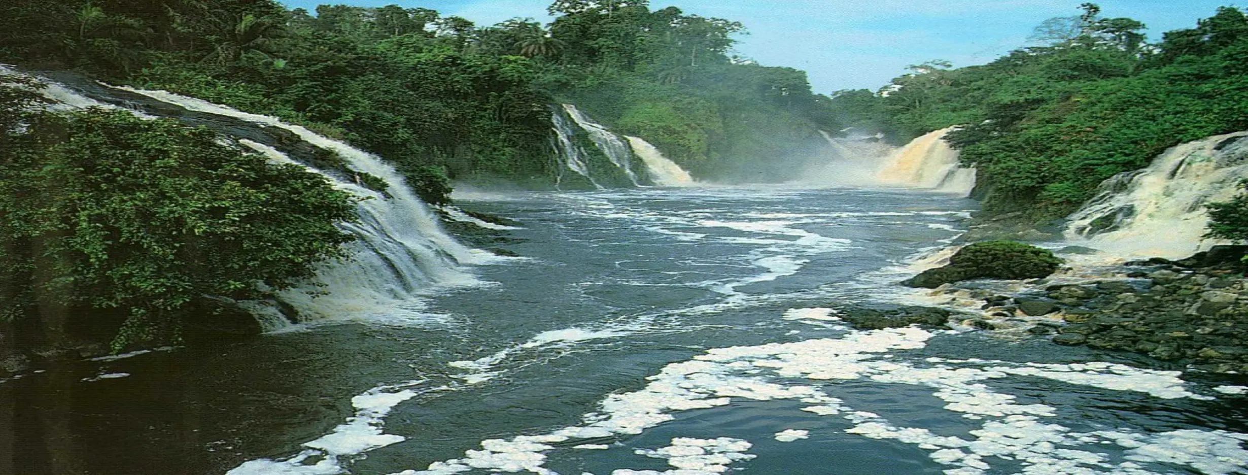 Image for Ivindo National Park